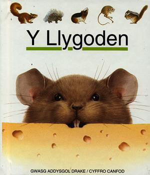 Cyfres Cyffro Canfod: Llygoden, Y - Siop Y Pentan