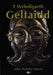 Cyfres Celf 2000: Weledigaeth Geltaidd, Y - Siop Y Pentan