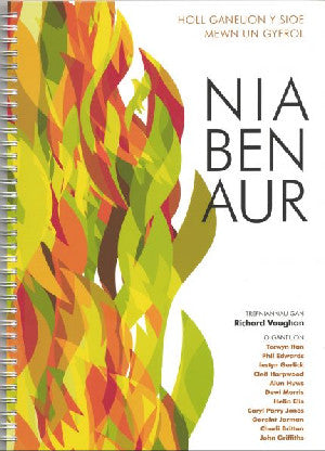 Nia Ben Aur - Siop Y Pentan