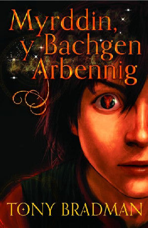 Myrddin, Y Bachgen Arbennig - Siop Y Pentan