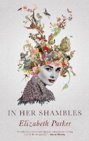 In her Shambles - Siop Y Pentan