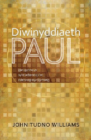 Diwinyddiaeth Paul - Gan Gynnwys Sylw Arbennig I’w Ddehonglwyr Cy - Siop Y Pentan