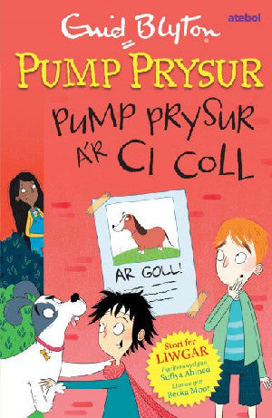Pump Prysur a’r Ci Coll - Siop Y Pentan