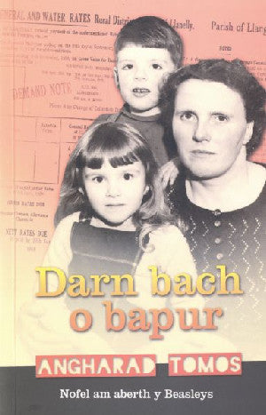 Darn Bach o Bapur - Siop Y Pentan