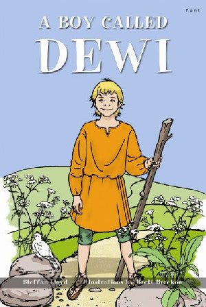 Boy Called Dewi, A - Siop Y Pentan