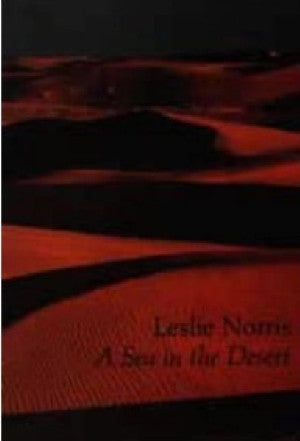 Sea in the Desert, A - Siop Y Pentan