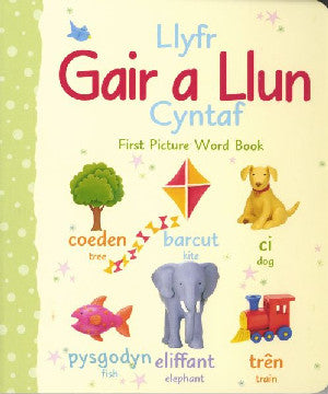 Llyfr Gair a Llun Cyntaf/First Picture Word Book - Siop Y Pentan