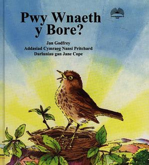 Pwy Wnaeth y Bore? - Siop Y Pentan