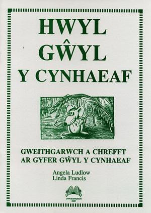 Hwyl G?yl y Cynhaeaf - Siop Y Pentan