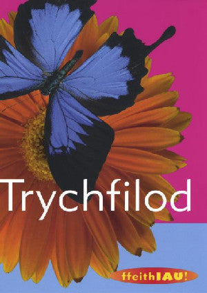 Cyfres Ffeithiau! Anifeiliaid: Trychfilod - Siop Y Pentan