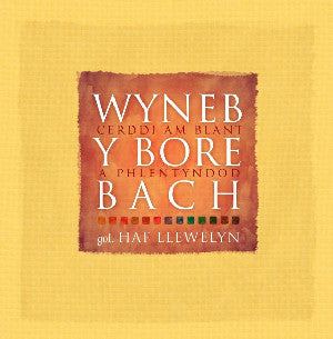 Wyneb y Bore Bach - Cerddi am Blant a Phlentyndod - Siop Y Pentan