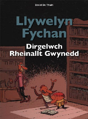 Llywelyn Fychan: Dirgelwch Rheinallt Gwynedd - Siop Y Pentan