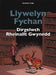 Llywelyn Fychan: Dirgelwch Rheinallt Gwynedd - Siop Y Pentan