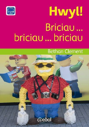 Cyfres Darllen Difyr: Hwyl! - Briciau ... briciau ... briciau - Siop Y Pentan