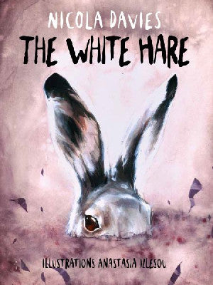 Shadows and Light: The White Hare - Siop Y Pentan