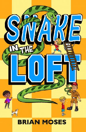 Snake in the Loft - Siop Y Pentan