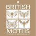 British Moths to Colour in and Learn About - Siop Y Pentan