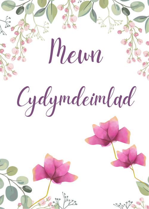 Pecyn o Gardiau Cymdeimlo (5) - Siop Y Pentan